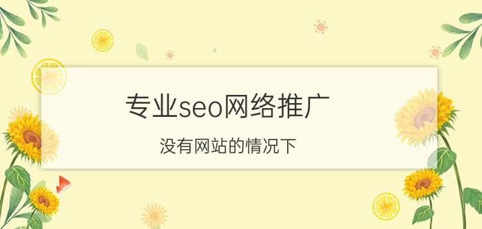 专业seo网络推广 没有网站的情况下，该如何做SEO？